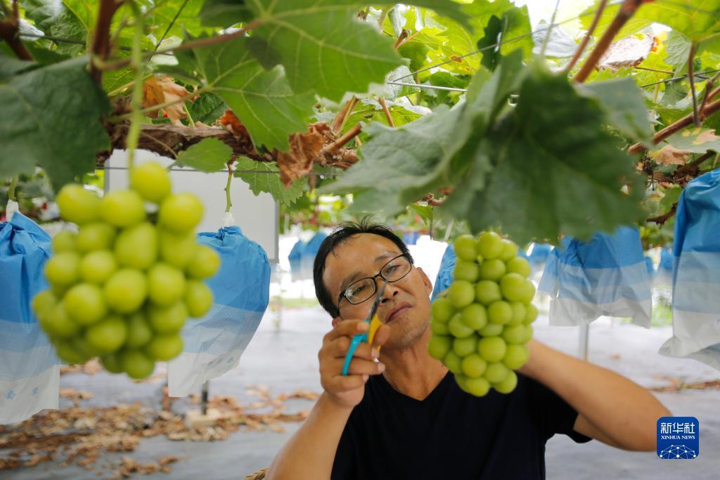 打牌吧官网